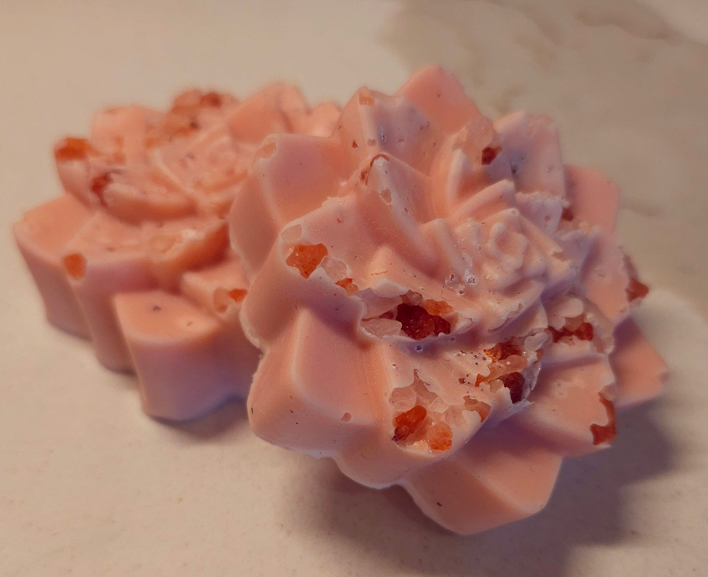 Watermelon Succulent