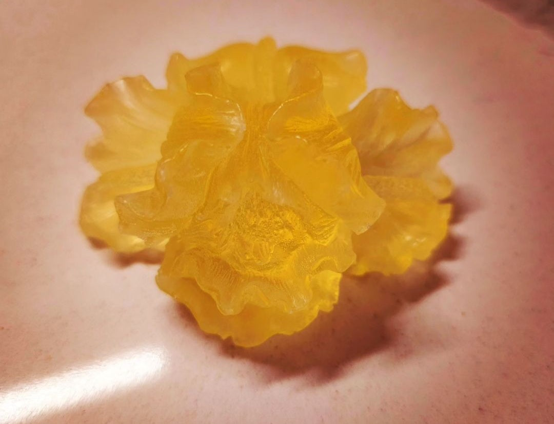 Raw Honeycomb Iris